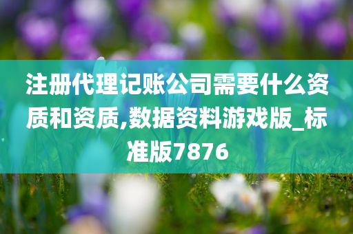 注册代理记账公司需要什么资质和资质,数据资料游戏版_标准版7876