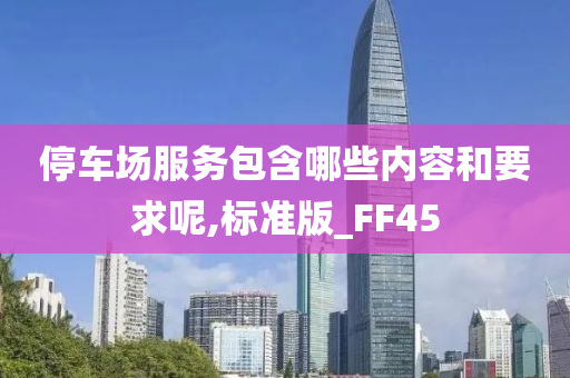 停车场服务包含哪些内容和要求呢,标准版_FF45