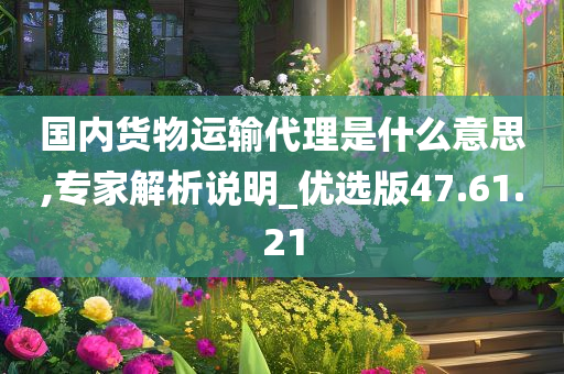 国内货物运输代理是什么意思,专家解析说明_优选版47.61.21