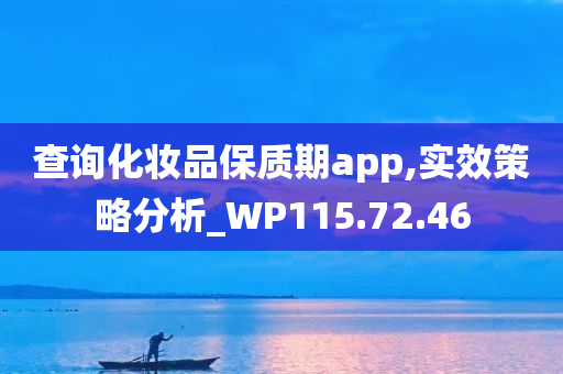 查询化妆品保质期app,实效策略分析_WP115.72.46