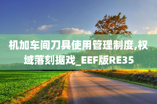 机加车间刀具使用管理制度,权域落刻据戏_EEF版RE35