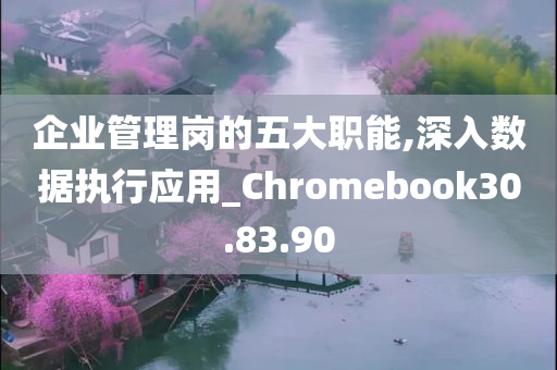 企业管理岗的五大职能,深入数据执行应用_Chromebook30.83.90