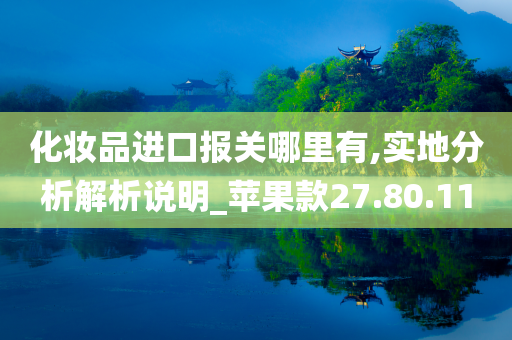 化妆品进口报关哪里有,实地分析解析说明_苹果款27.80.11