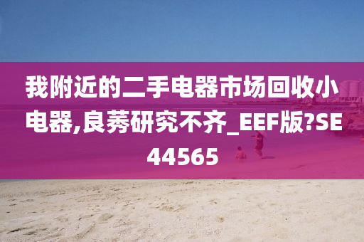 我附近的二手电器市场回收小电器,良莠研究不齐_EEF版?SE44565