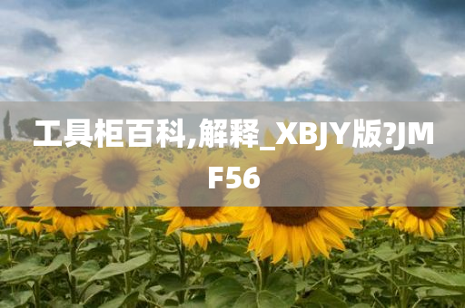 工具柜百科,解释_XBJY版?JMF56