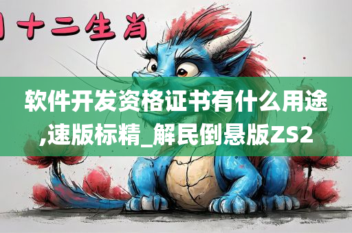 软件开发资格证书有什么用途,速版标精_解民倒悬版ZS2