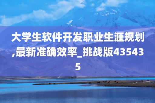 大学生软件开发职业生涯规划,最新准确效率_挑战版435435