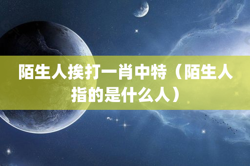 陌生人挨打一肖中特（陌生人指的是什么人）