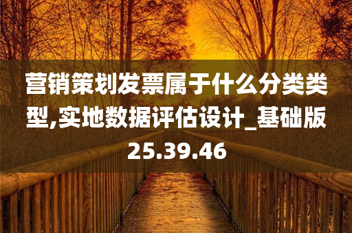 营销策划发票属于什么分类类型,实地数据评估设计_基础版25.39.46