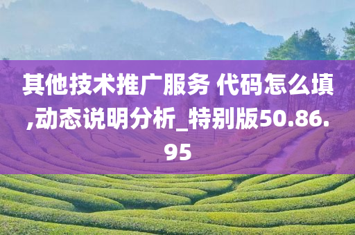 其他技术推广服务 代码怎么填,动态说明分析_特别版50.86.95