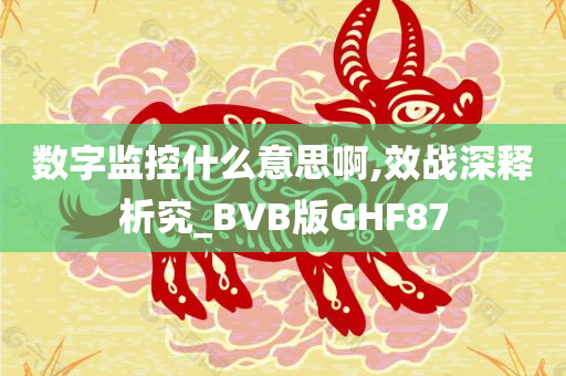 数字监控什么意思啊,效战深释析究_BVB版GHF87