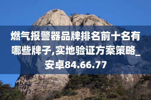 燃气报警器品牌排名前十名有哪些牌子,实地验证方案策略_安卓84.66.77