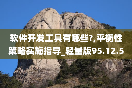 软件开发工具有哪些?,平衡性策略实施指导_轻量版95.12.50