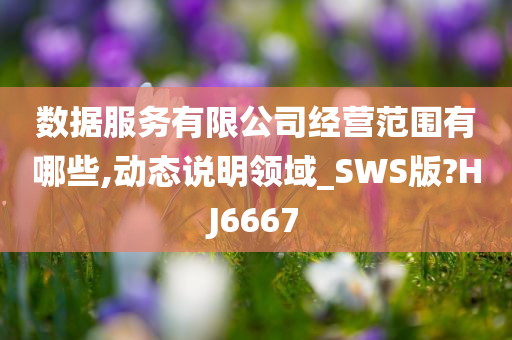 数据服务有限公司经营范围有哪些,动态说明领域_SWS版?HJ6667