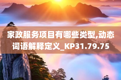 家政服务项目有哪些类型,动态词语解释定义_KP31.79.75