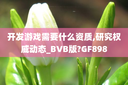 开发游戏需要什么资质,研究权威动态_BVB版?GF898