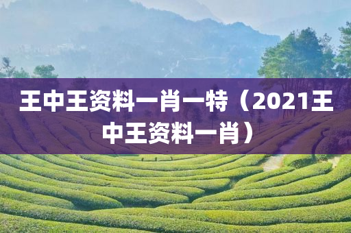 王中王资料一肖一特（2021王中王资料一肖）