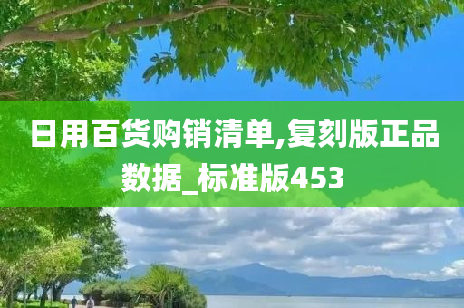 日用百货购销清单,复刻版正品数据_标准版453