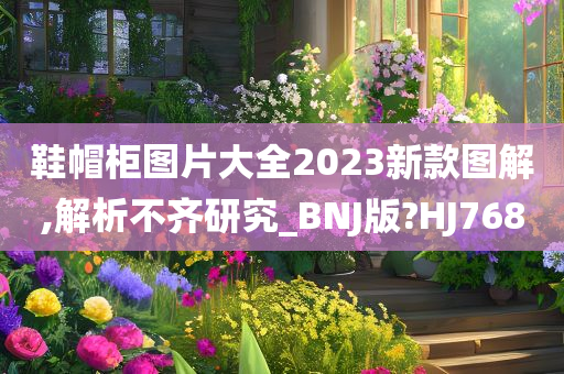 鞋帽柜图片大全2023新款图解,解析不齐研究_BNJ版?HJ768