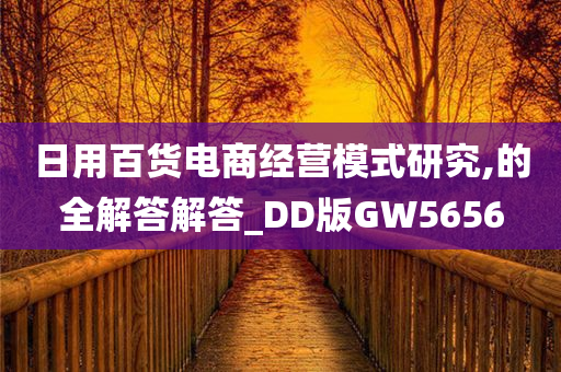 日用百货电商经营模式研究,的全解答解答_DD版GW5656