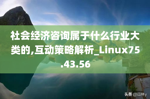 社会经济咨询属于什么行业大类的,互动策略解析_Linux75.43.56