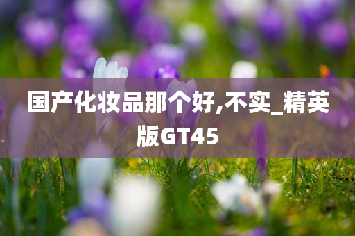 国产化妆品那个好,不实_精英版GT45