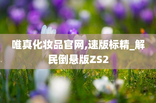 唯真化妆品官网,速版标精_解民倒悬版ZS2