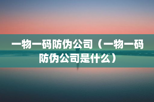 一物一码防伪公司（一物一码防伪公司是什么）