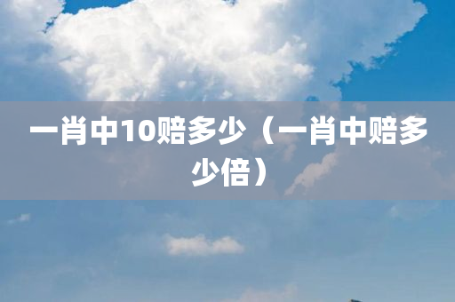 一肖中10赔多少（一肖中赔多少倍）