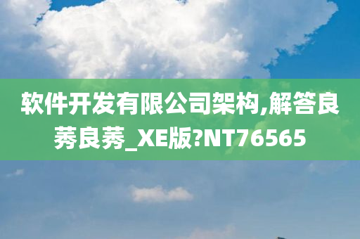 软件开发有限公司架构,解答良莠良莠_XE版?NT76565