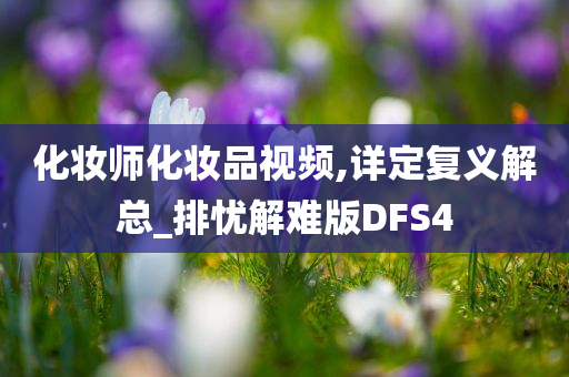 化妆师化妆品视频,详定复义解总_排忧解难版DFS4