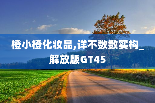 橙小橙化妆品,详不数数实构_解放版GT45