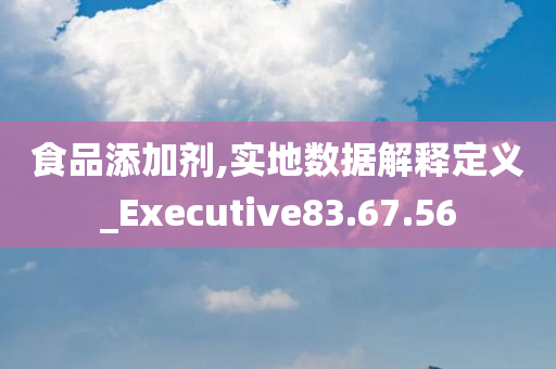 食品添加剂,实地数据解释定义_Executive83.67.56