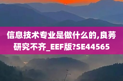 信息技术专业是做什么的,良莠研究不齐_EEF版?SE44565