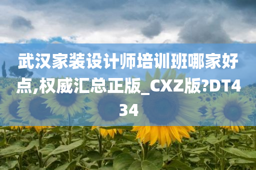 武汉家装设计师培训班哪家好点,权威汇总正版_CXZ版?DT434