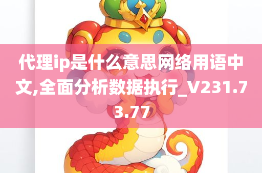 代理ip是什么意思网络用语中文,全面分析数据执行_V231.73.77