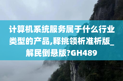 计算机系统服务属于什么行业类型的产品,释挑领析准析版_解民倒悬版?GH489