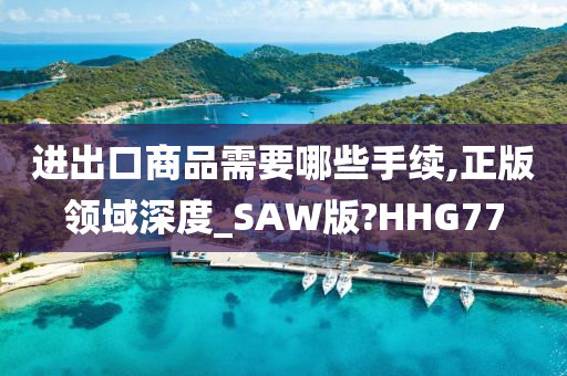 进出口商品需要哪些手续,正版领域深度_SAW版?HHG77