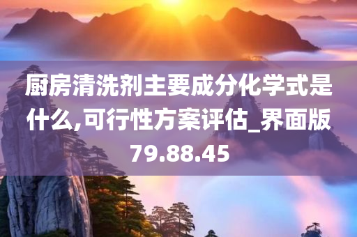 厨房清洗剂主要成分化学式是什么,可行性方案评估_界面版79.88.45