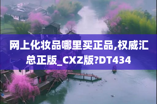 网上化妆品哪里买正品,权威汇总正版_CXZ版?DT434