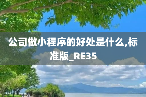 公司做小程序的好处是什么,标准版_RE35