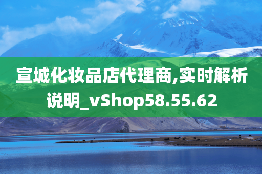 宣城化妆品店代理商,实时解析说明_vShop58.55.62