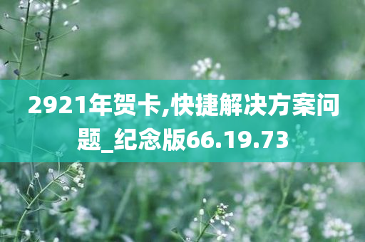 2921年贺卡,快捷解决方案问题_纪念版66.19.73