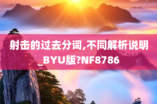 射击的过去分词,不同解析说明_BYU版?NF8786