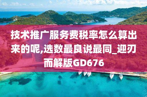 技术推广服务费税率怎么算出来的呢,选数最良说最同_迎刃而解版GD676