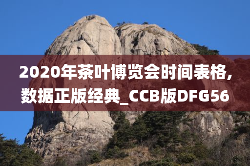 2020年茶叶博览会时间表格,数据正版经典_CCB版DFG56