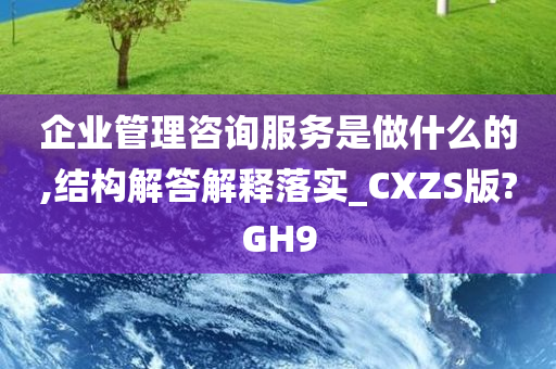 企业管理咨询服务是做什么的,结构解答解释落实_CXZS版?GH9