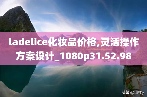 ladelice化妆品价格,灵活操作方案设计_1080p31.52.98