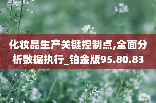 化妆品生产关键控制点,全面分析数据执行_铂金版95.80.83