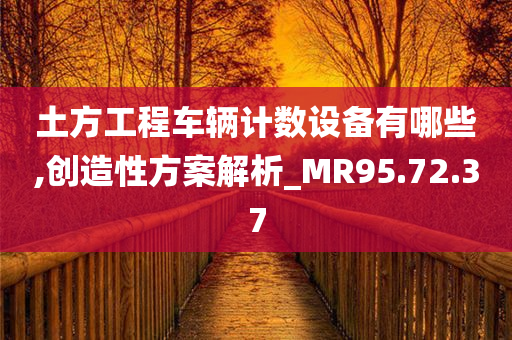 土方工程车辆计数设备有哪些,创造性方案解析_MR95.72.37